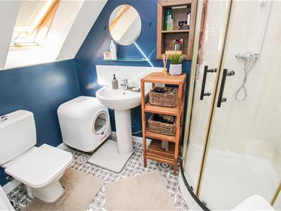 Picture 14